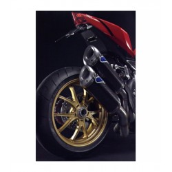 Paire de silencieux Termignoni carbone pour Ducati Streetfighter 848 (12-15), Streetfighter S 1098 (09-13)