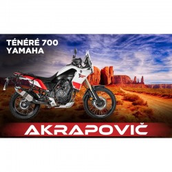 Termignoni Upmap pour Yamaha Tenere 700 2019-2020