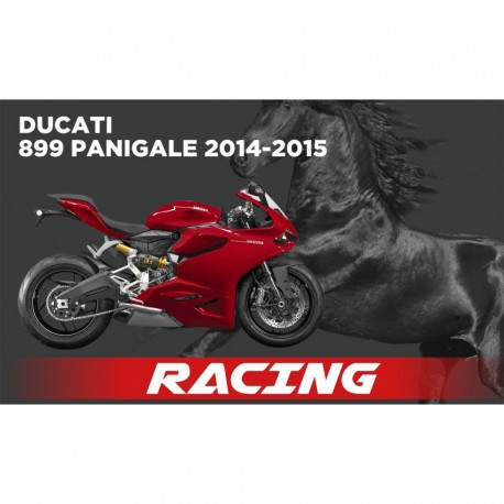 Umap Termignoni Ducati Panigale 899 2014-2015