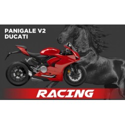 Upmap Termignoni Ducati Panigale V2 2021