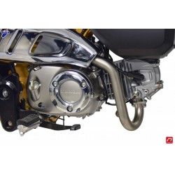 Ligne Termignoni H16509400IIC racing titane-carbone pour Honda Monkey 125 tous modèles 2018 à 2022