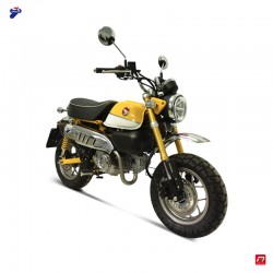 Ligne Termignoni H16509400IIC racing titane-carbone pour Honda Monkey 125 tous modèles 2018 à 2022