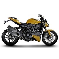 Silencieux Termignoni pour Ducati Streetfighter 848 de 2012 à 2015