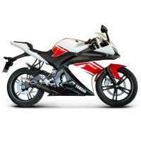 Echappements Termignoni pour YZF-R 125 (08-13)